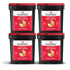 480 Serving Freeze Dried Fruit Bucket (4, 120 serving buckets) - UPC: 