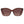 Guess Brown Resin Sunglasses